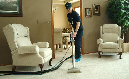 Professional Carpet Cleaner Working in a Home