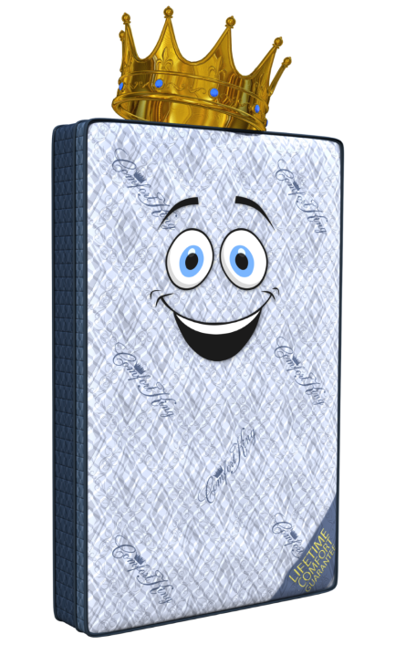 comfy_flag_2020_SMALL.png