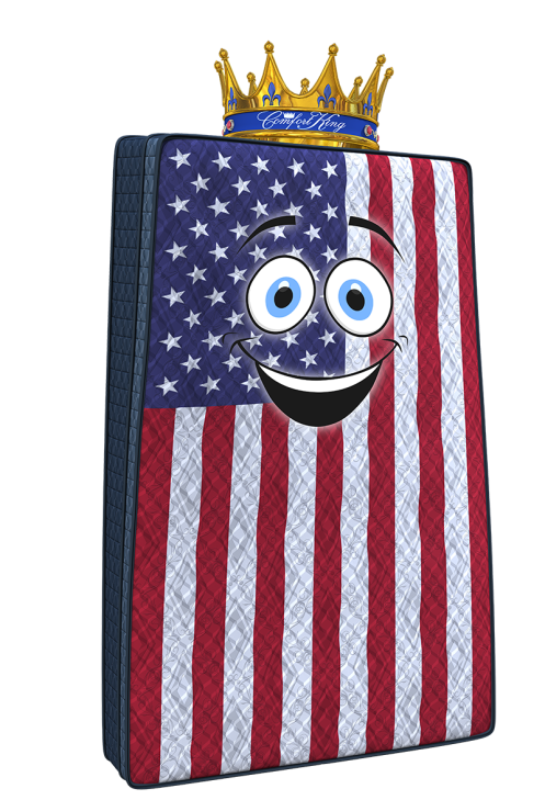 comfy_flag_2020_SMALL.png