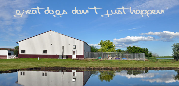 Smoken Dakota Kennels Sioux Falls The Local Best