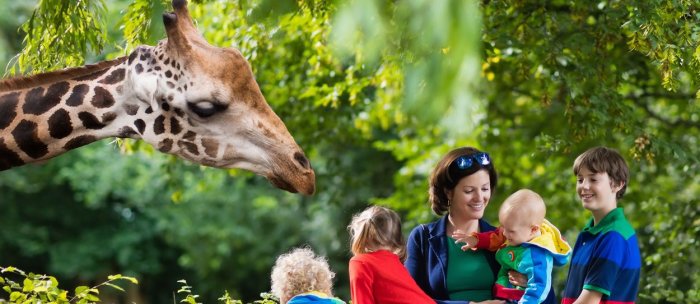 Great Plains Zoo & Delbridge Museum of Natural History | Sioux Falls ♥ ...